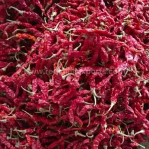 Byadgi 355 variety preview
