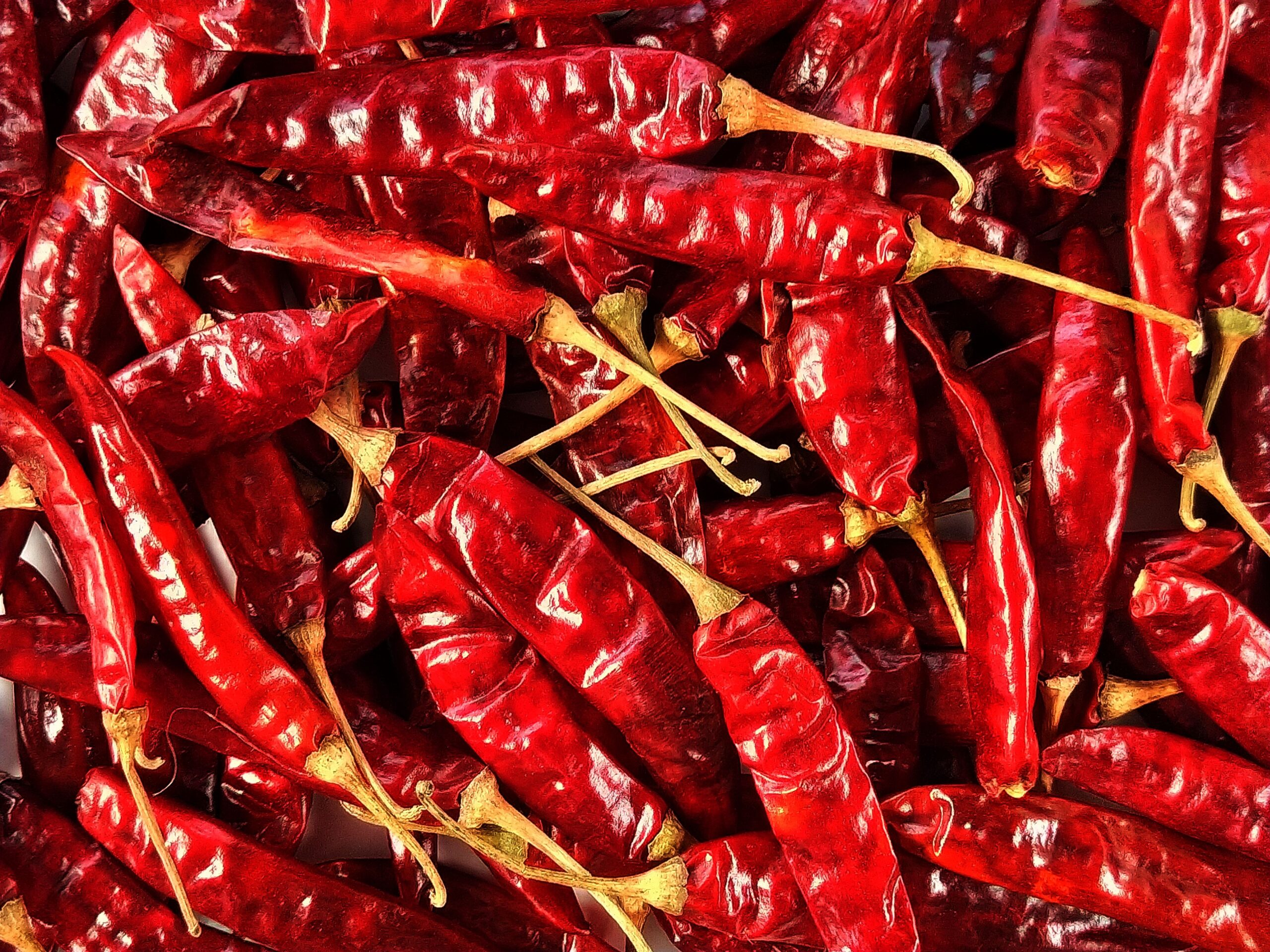 How to Source Export-Quality Byadgi Chilli