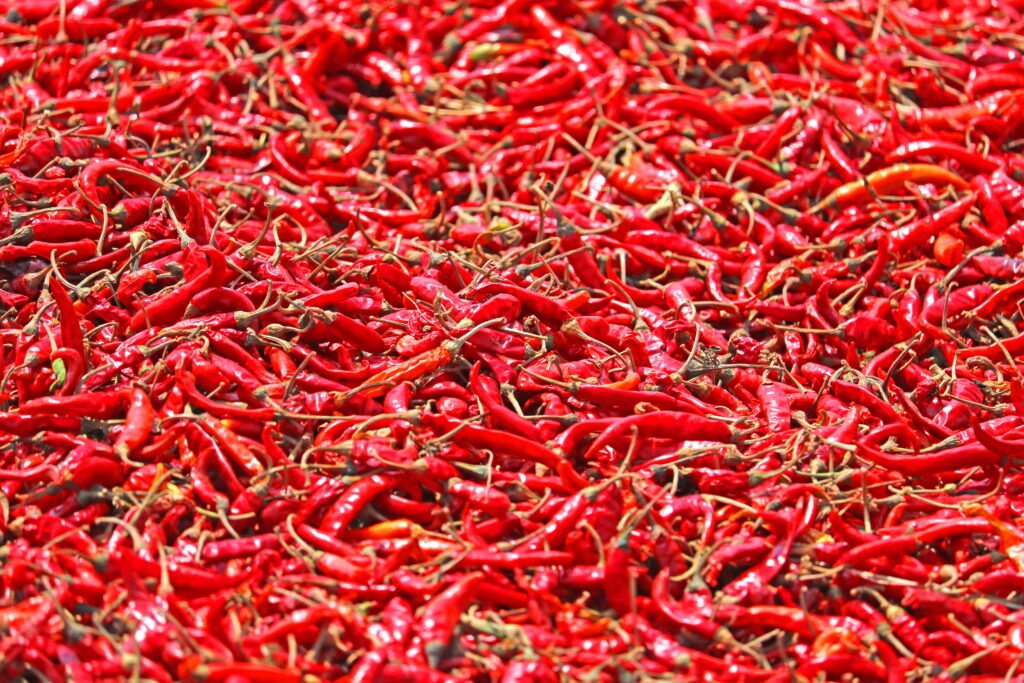 A close-up view of an abundance of vibrant sun-dried red chili peppers, showcasing their vivid color and texture.